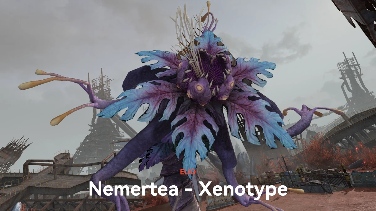 gunsmoke frontline Nemertea Xenotype